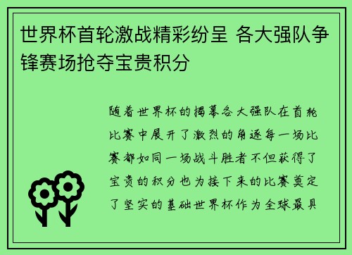 世界杯首轮激战精彩纷呈 各大强队争锋赛场抢夺宝贵积分